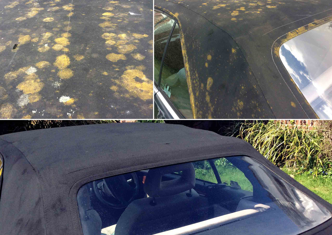 cabrio-stoffverdeck-reiniger renovo moos flechten