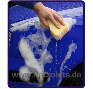 petzoldts glanz-shampoo 2-0 fahrzeugwaesche