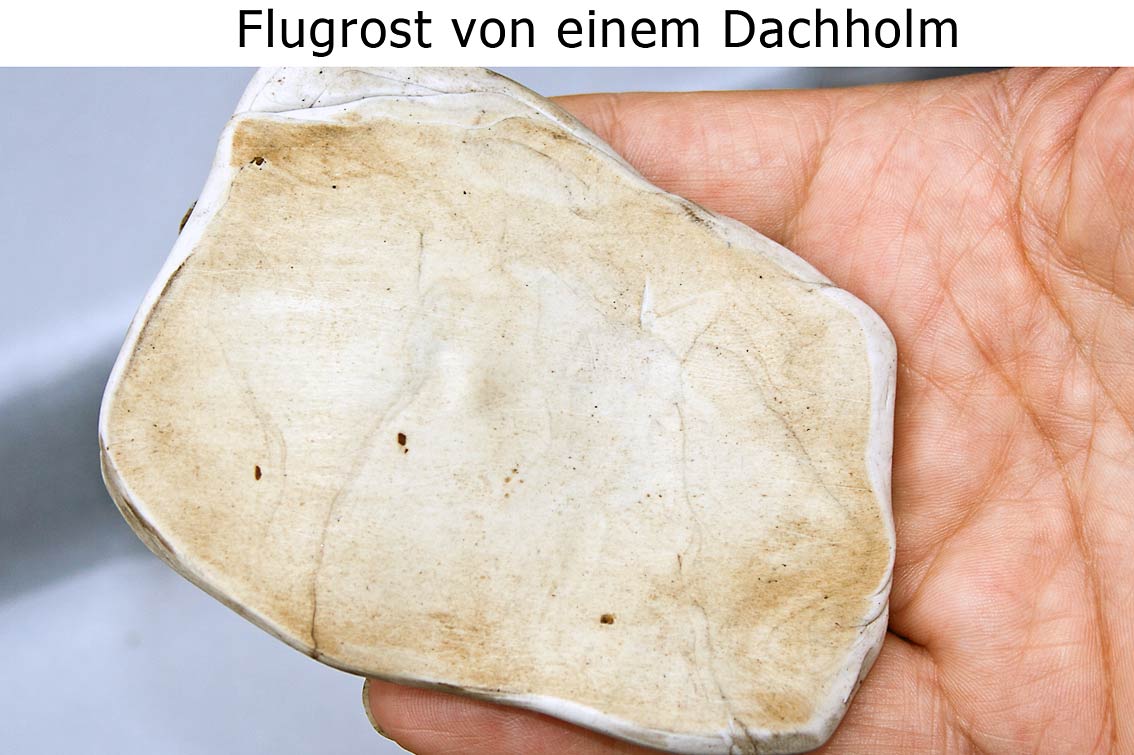 reinigungsknete weiss auto flugrost